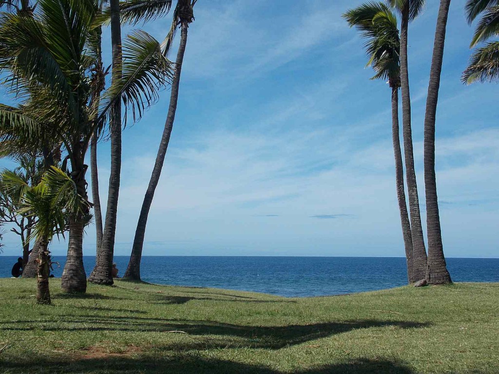 plage-grand-anse-0